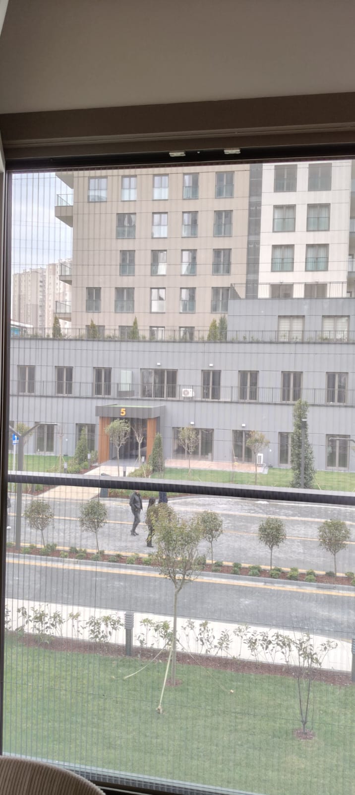 Kaya Sineklik Uygulama